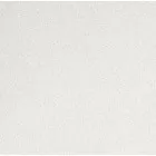 Плита ALPINA Tegular 600*600*13mm