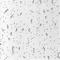 Плита ЛАГУНА № 1 600х600  (MIWI) 7,5мм